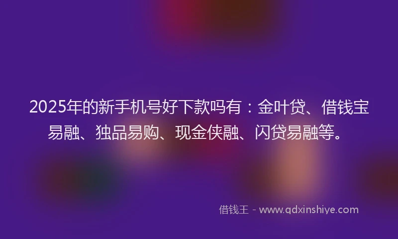 2025年的新手机号好下款吗有：金叶贷、借钱宝易融、独品易购、现金侠融、闪贷易融等。