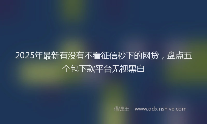 2025年最新有没有不看征信秒下的网贷，盘点五个包下款平台无视黑白