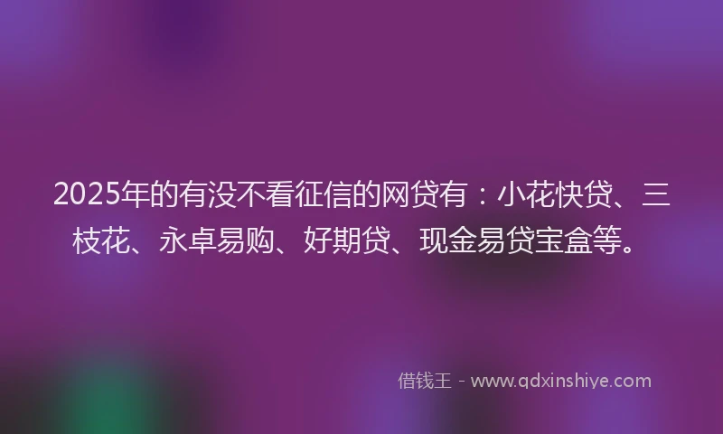 2025年的有没不看征信的网贷有：小花快贷、三枝花、永卓易购、好期贷、现金易贷宝盒等。