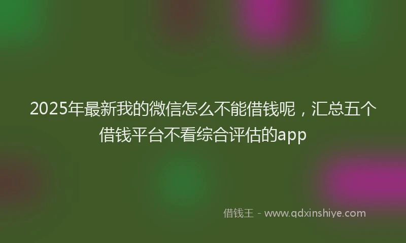 2025年最新我的微信怎么不能借钱呢，汇总五个借钱平台不看综合评估的app