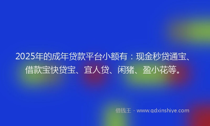2025年的成年贷款平台小额有：现金秒贷通宝、借款宝快贷宝、宜人贷、闲猪、盈小花等。