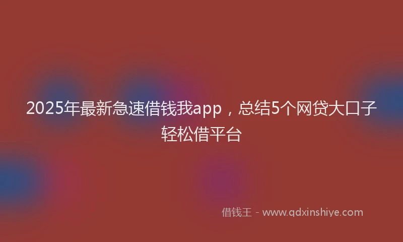 2025年最新急速借钱我app，总结5个网贷大口子轻松借平台