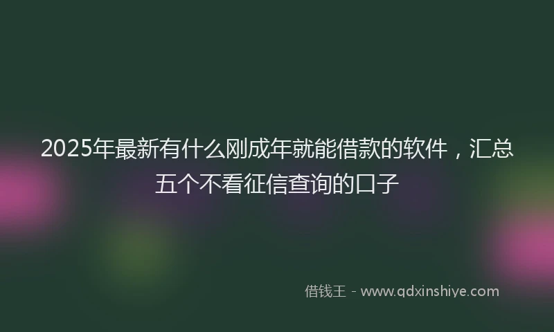 2025年最新有什么刚成年就能借款的软件，汇总五个不看征信查询的口子