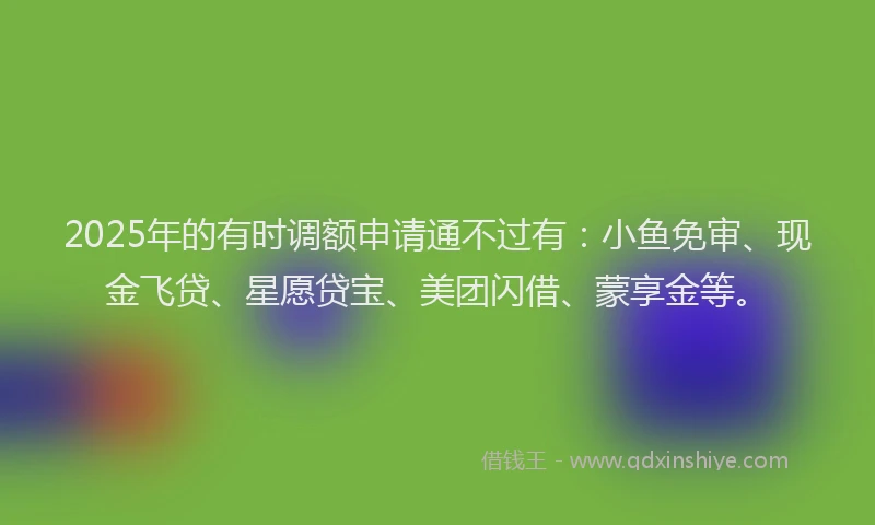 2025年的有时调额申请通不过有：小鱼免审、现金飞贷、星愿贷宝、美团闪借、蒙享金等。