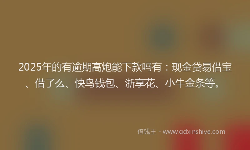 2025年的有逾期高炮能下款吗有：现金贷易借宝、借了么、快鸟钱包、浙享花、小牛金条等。