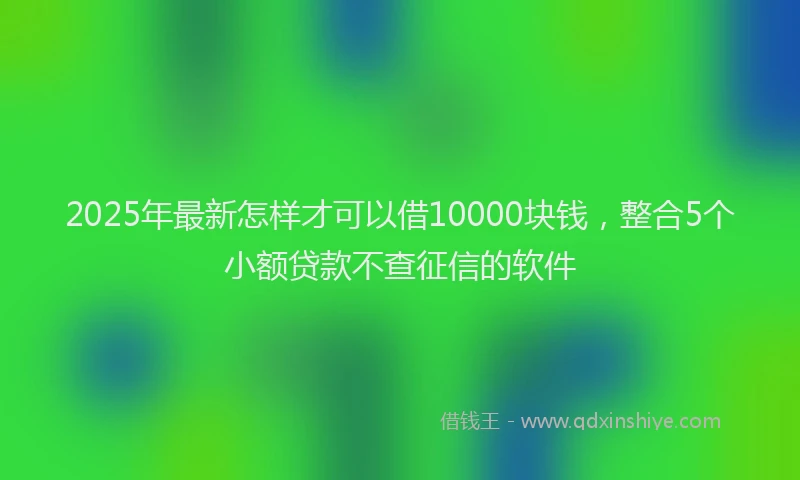 2025年最新怎样才可以借10000块钱，整合5个小额贷款不查征信的软件