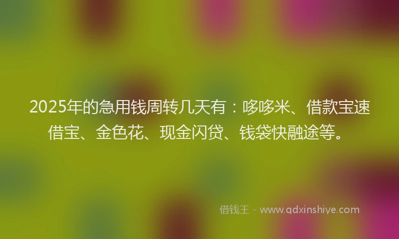 2025年的急用钱周转几天有：哆哆米、借款宝速借宝、金色花、现金闪贷、钱袋快融途等。