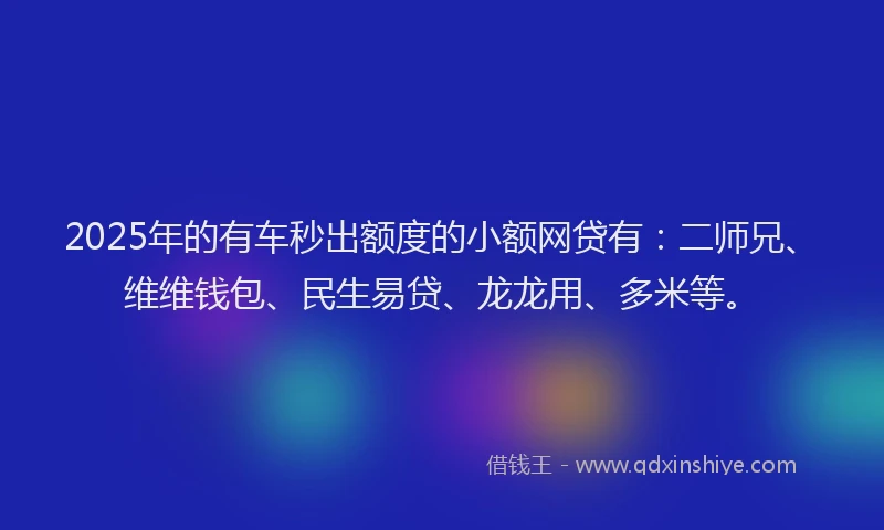 2025年的有车秒出额度的小额网贷有：二师兄、维维钱包、民生易贷、龙龙用、多米等。