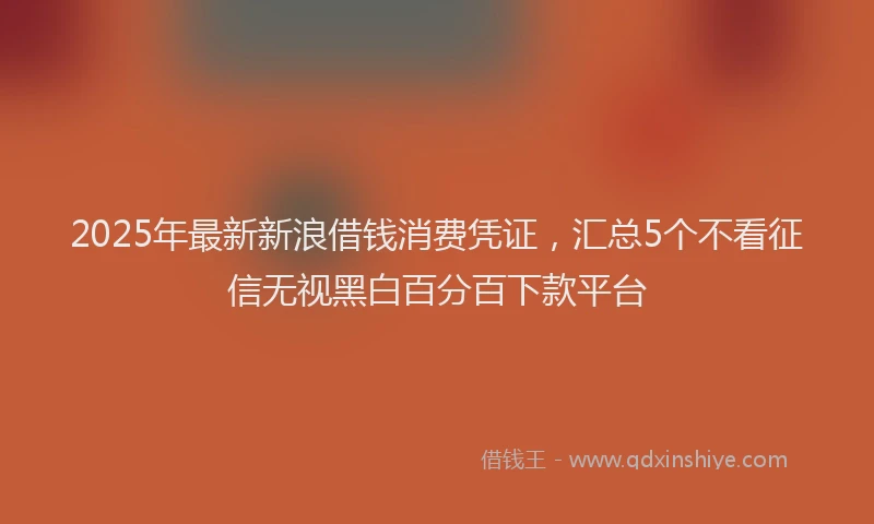 2025年最新新浪借钱消费凭证，汇总5个不看征信无视黑白百分百下款平台