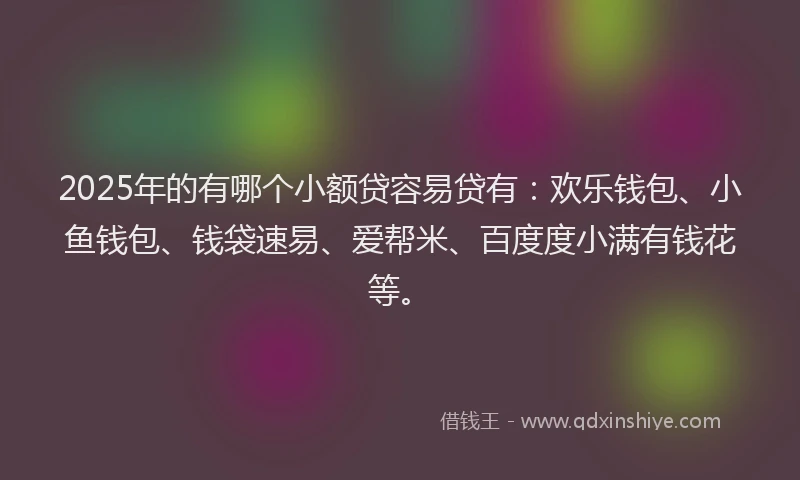 2025年的有哪个小额贷容易贷有：欢乐钱包、小鱼钱包、钱袋速易、爱帮米、百度度小满有钱花等。