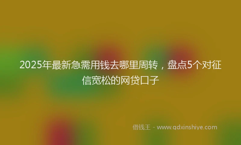 2025年最新急需用钱去哪里周转，盘点5个对征信宽松的网贷口子