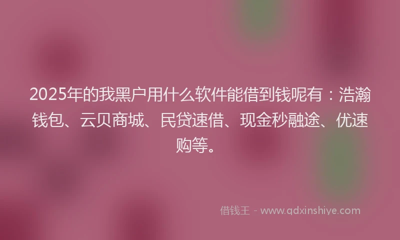 2025年的我黑户用什么软件能借到钱呢有：浩瀚钱包、云贝商城、民贷速借、现金秒融途、优速购等。