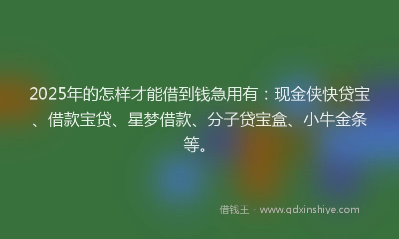 2025年的怎样才能借到钱急用有：现金侠快贷宝、借款宝贷、星梦借款、分子贷宝盒、小牛金条等。