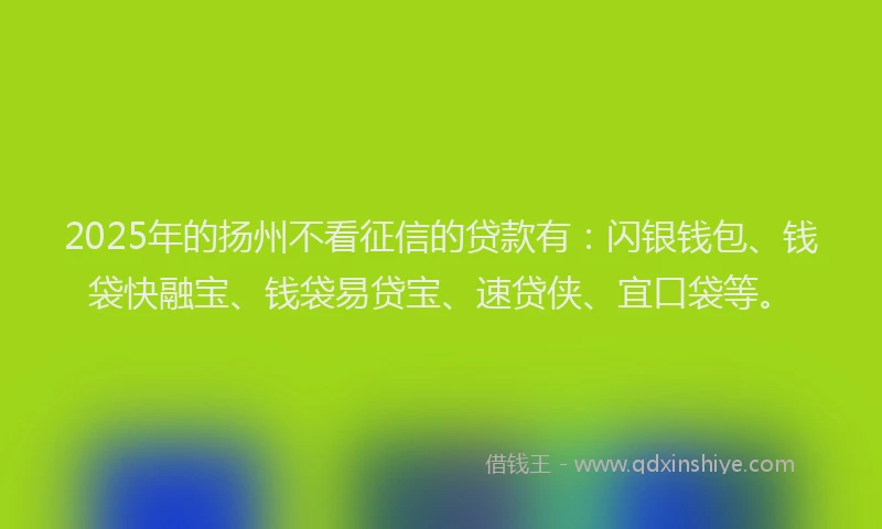 2025年的扬州不看征信的贷款有：闪银钱包、钱袋快融宝、钱袋易贷宝、速贷侠、宜口袋等。