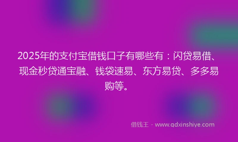 2025年的支付宝借钱口子有哪些有：闪贷易借、现金秒贷通宝融、钱袋速易、东方易贷、多多易购等。
