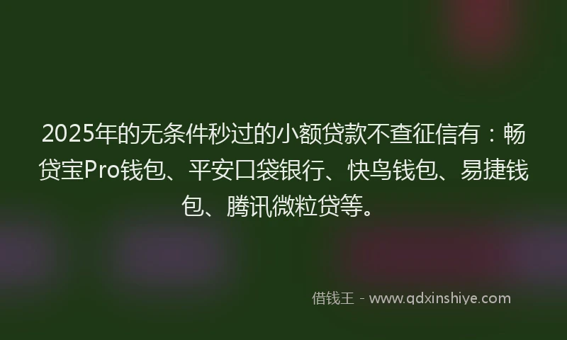 2025年的无条件秒过的小额贷款不查征信有：畅贷宝Pro钱包、平安口袋银行、快鸟钱包、易捷钱包、腾讯微粒贷等。
