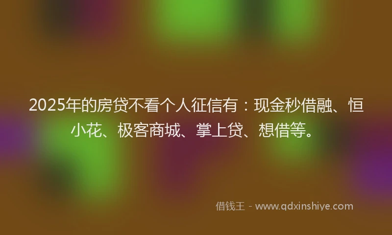 2025年的房贷不看个人征信有：现金秒借融、恒小花、极客商城、掌上贷、想借等。