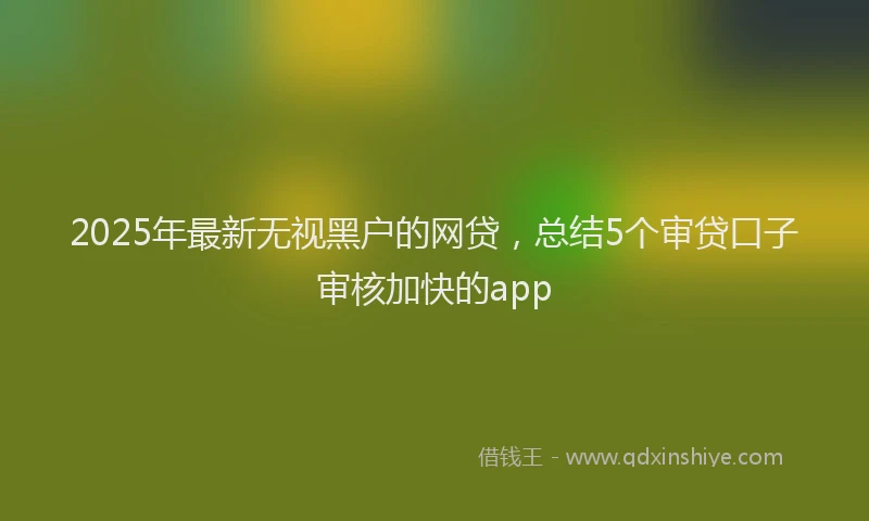 2025年最新无视黑户的网贷，总结5个审贷口子审核加快的app