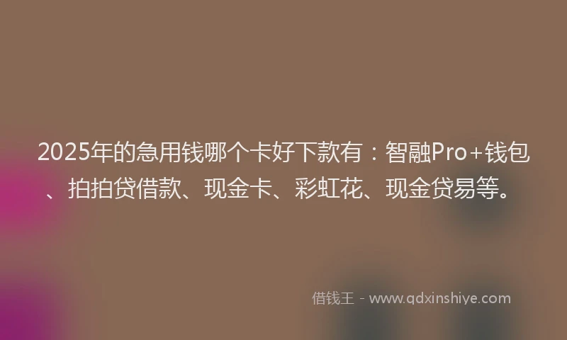 2025年的急用钱哪个卡好下款有：智融Pro+钱包、拍拍贷借款、现金卡、彩虹花、现金贷易等。