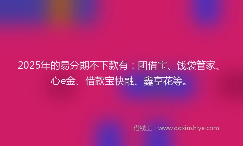 2025年的易分期不下款有：团借宝、钱袋管家、心e金、借款宝快融、鑫享花等。