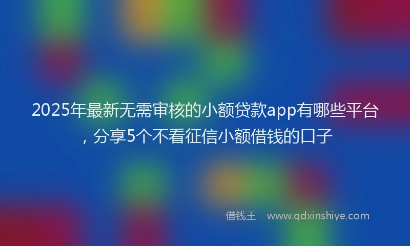 2025年最新无需审核的小额贷款app有哪些平台，分享5个不看征信小额借钱的口子