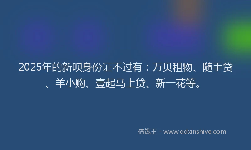 2025年的新呗身份证不过有：万贝租物、随手贷、羊小购、壹起马上贷、新一花等。