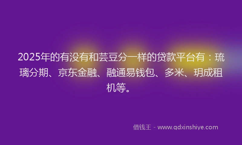 2025年的有没有和芸豆分一样的贷款平台有：琉璃分期、京东金融、融通易钱包、多米、玥成租机等。