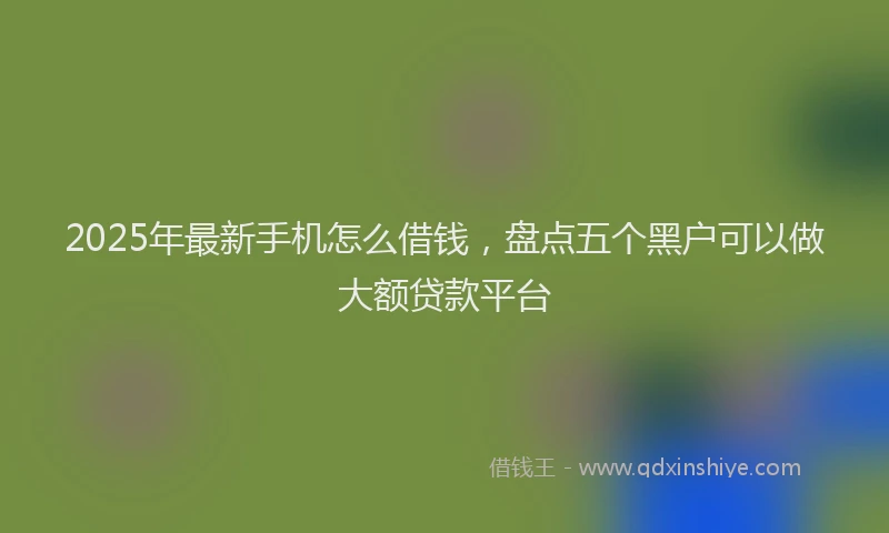 2025年最新手机怎么借钱，盘点五个黑户可以做大额贷款平台