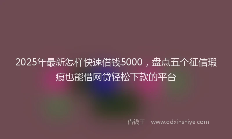 2025年最新怎样快速借钱5000，盘点五个征信瑕疵也能借网贷轻松下款的平台