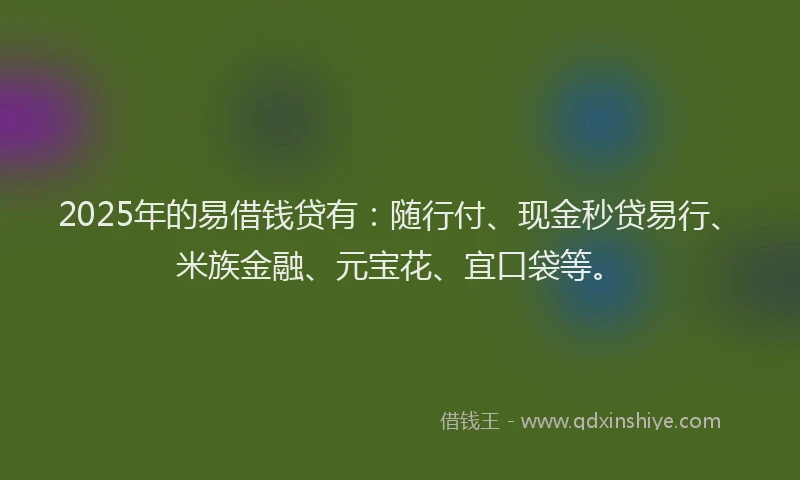 2025年的易借钱贷有：随行付、现金秒贷易行、米族金融、元宝花、宜口袋等。