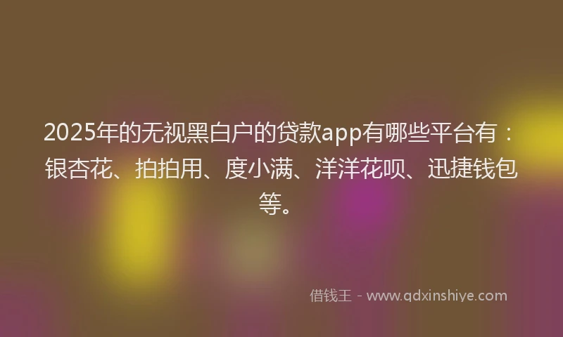 2025年的无视黑白户的贷款app有哪些平台有：银杏花、拍拍用、度小满、洋洋花呗、迅捷钱包等。