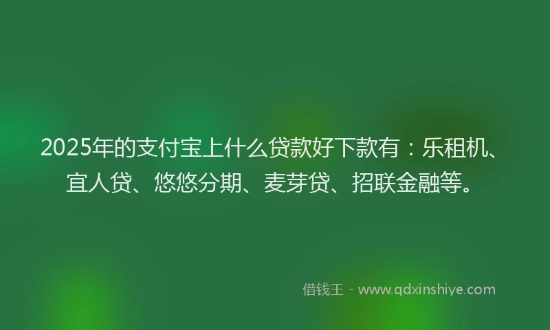 2025年的支付宝上什么贷款好下款有：乐租机、宜人贷、悠悠分期、麦芽贷、招联金融等。