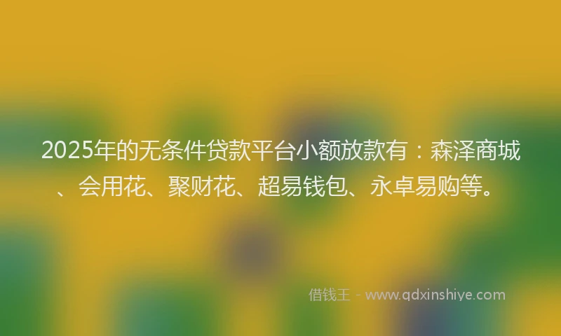 2025年的无条件贷款平台小额放款有：森泽商城、会用花、聚财花、超易钱包、永卓易购等。