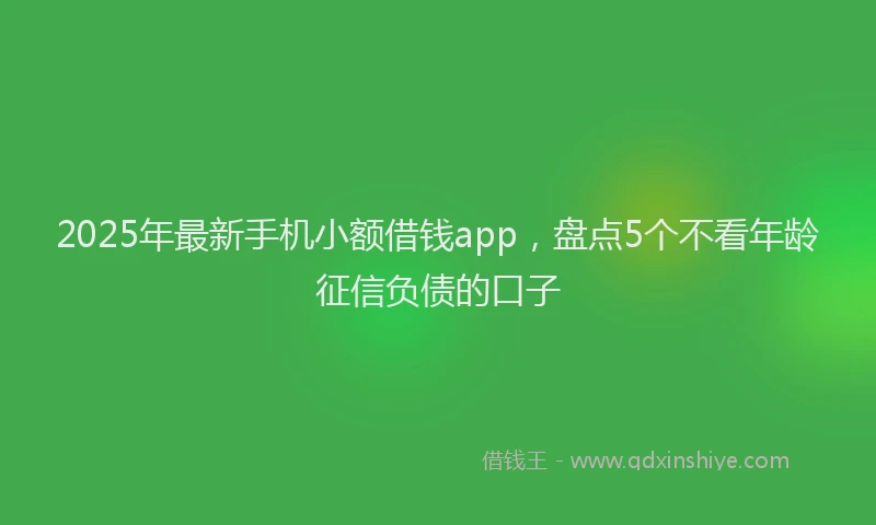 2025年最新手机小额借钱app，盘点5个不看年龄征信负债的口子