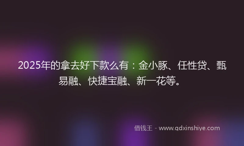 2025年的拿去好下款么有：金小豚、任性贷、甄易融、快捷宝融、新一花等。