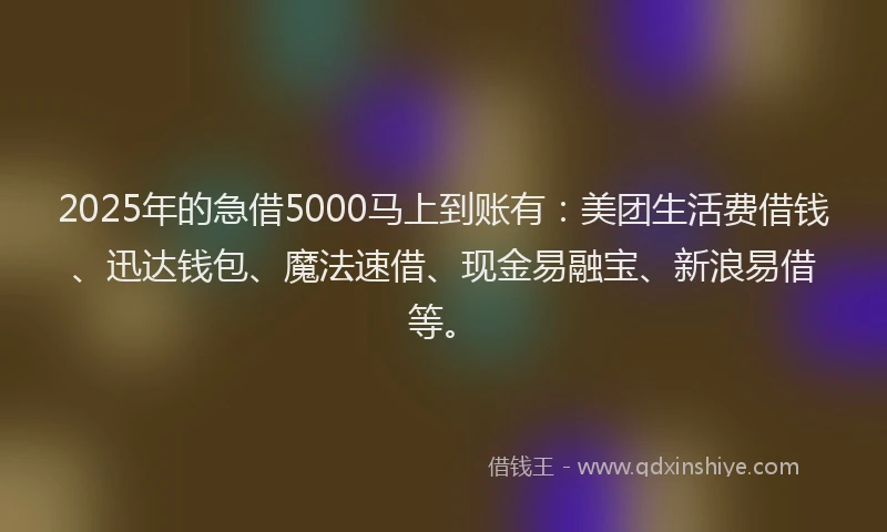 2025年的急借5000马上到账有：美团生活费借钱、迅达钱包、魔法速借、现金易融宝、新浪易借等。