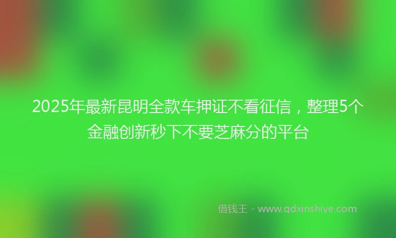 2025年最新昆明全款车押证不看征信，整理5个金融创新秒下不要芝麻分的平台