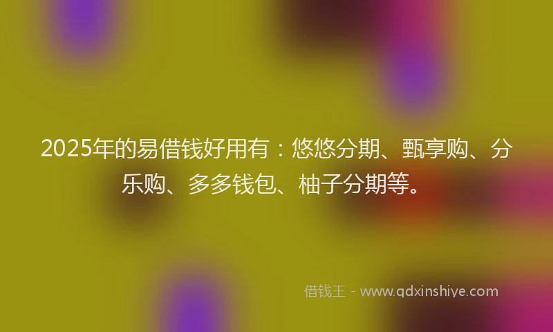 2025年的易借钱好用有：悠悠分期、甄享购、分乐购、多多钱包、柚子分期等。