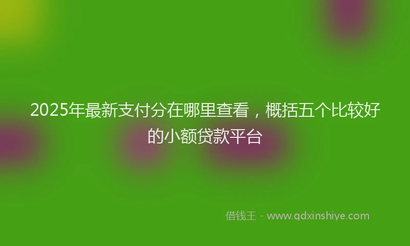 2025年最新支付分在哪里查看，概括五个比较好的小额贷款平台