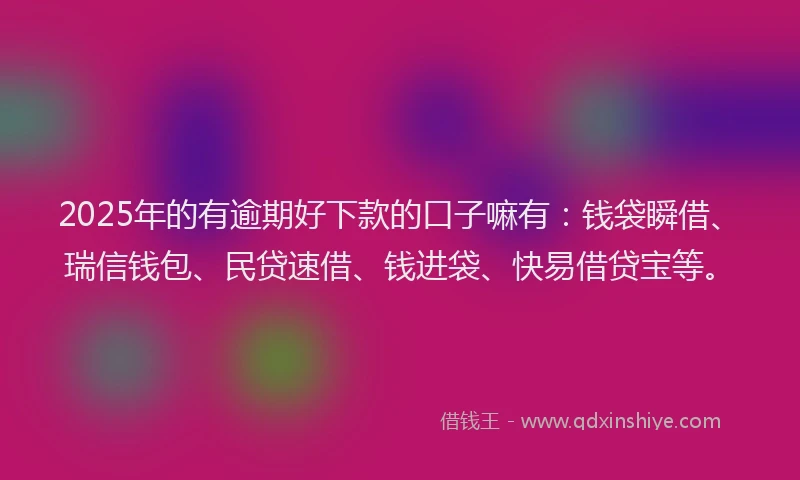 2025年的有逾期好下款的口子嘛有：钱袋瞬借、瑞信钱包、民贷速借、钱进袋、快易借贷宝等。