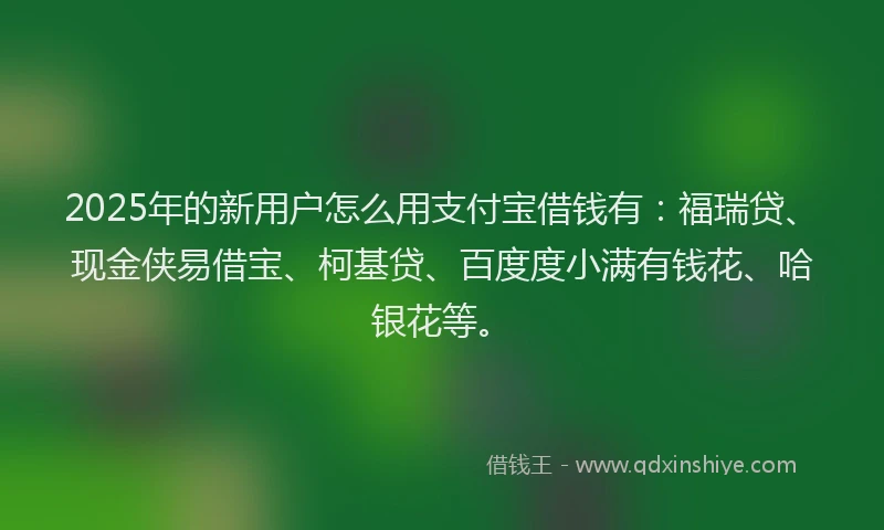 2025年的新用户怎么用支付宝借钱有：福瑞贷、现金侠易借宝、柯基贷、百度度小满有钱花、哈银花等。