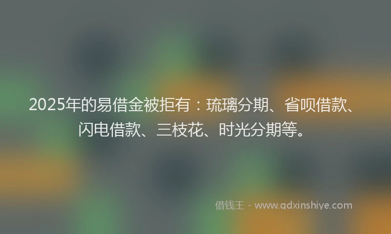 2025年的易借金被拒有：琉璃分期、省呗借款、闪电借款、三枝花、时光分期等。