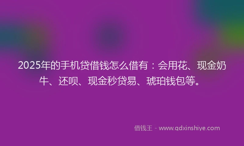 2025年的手机贷借钱怎么借有：会用花、现金奶牛、还呗、现金秒贷易、琥珀钱包等。