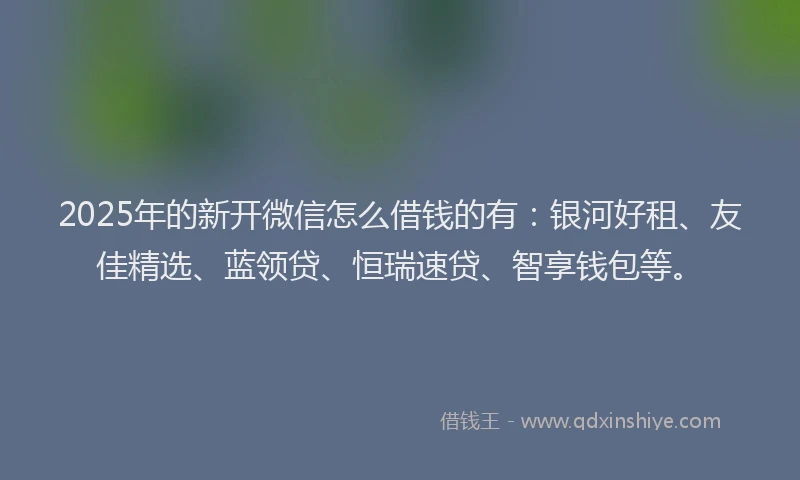 2025年的新开微信怎么借钱的有:银河好租、友佳精选、蓝领贷、恒瑞速贷、智享钱包等。