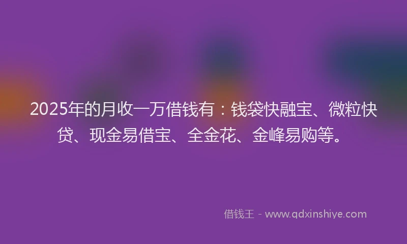 2025年的月收一万借钱有：钱袋快融宝、微粒快贷、现金易借宝、全金花、金峰易购等。