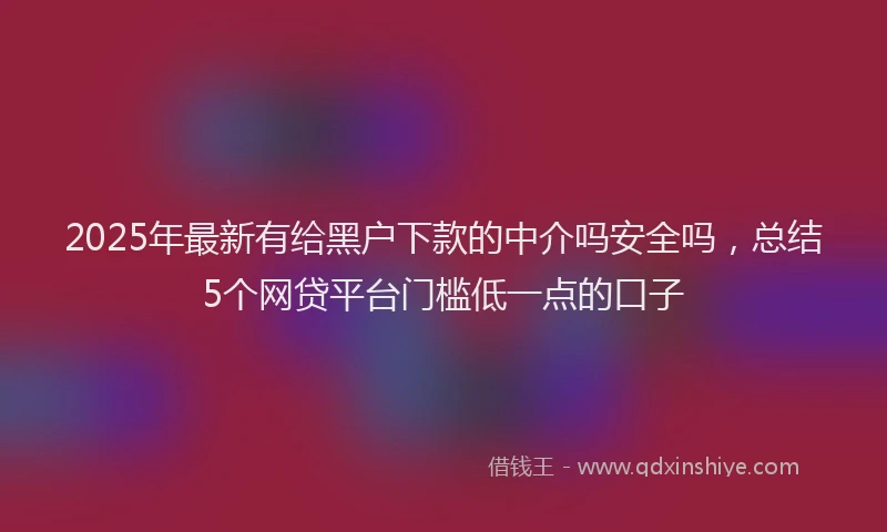 2025年最新有给黑户下款的中介吗安全吗，总结5个网贷平台门槛低一点的口子