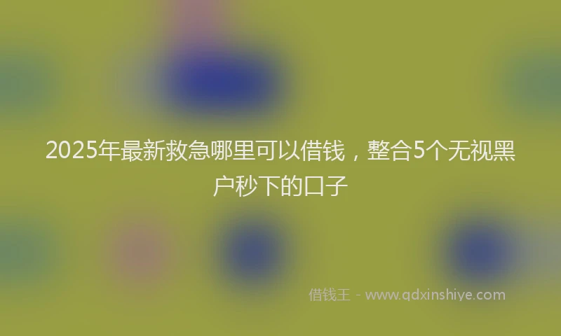 2025年最新救急哪里可以借钱，整合5个无视黑户秒下的口子