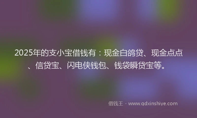 2025年的支小宝借钱有：现金白鸽贷、现金点点、信贷宝、闪电侠钱包、钱袋瞬贷宝等。