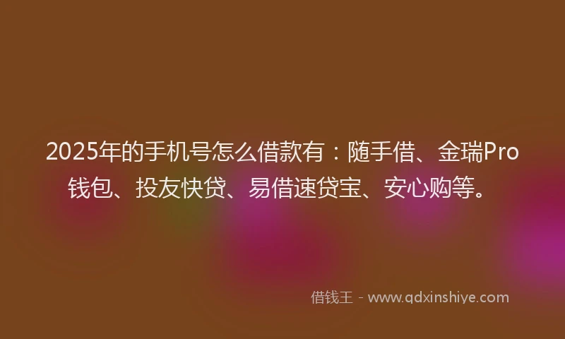 2025年的手机号怎么借款有：随手借、金瑞Pro钱包、投友快贷、易借速贷宝、安心购等。