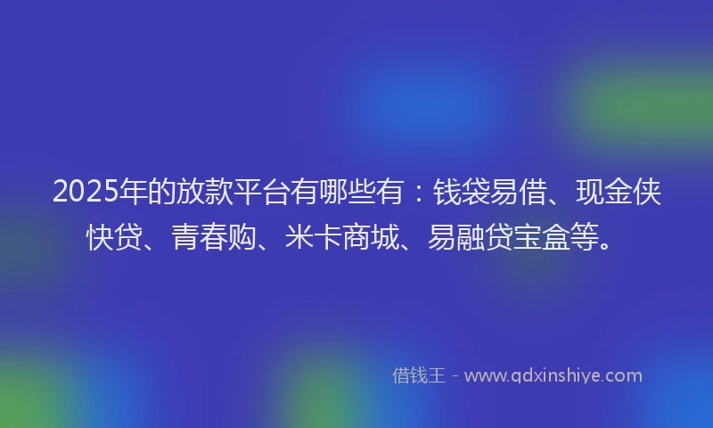 2025年的放款平台有哪些有：钱袋易借、现金侠快贷、青春购、米卡商城、易融贷宝盒等。